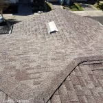 Windsor shingle project
